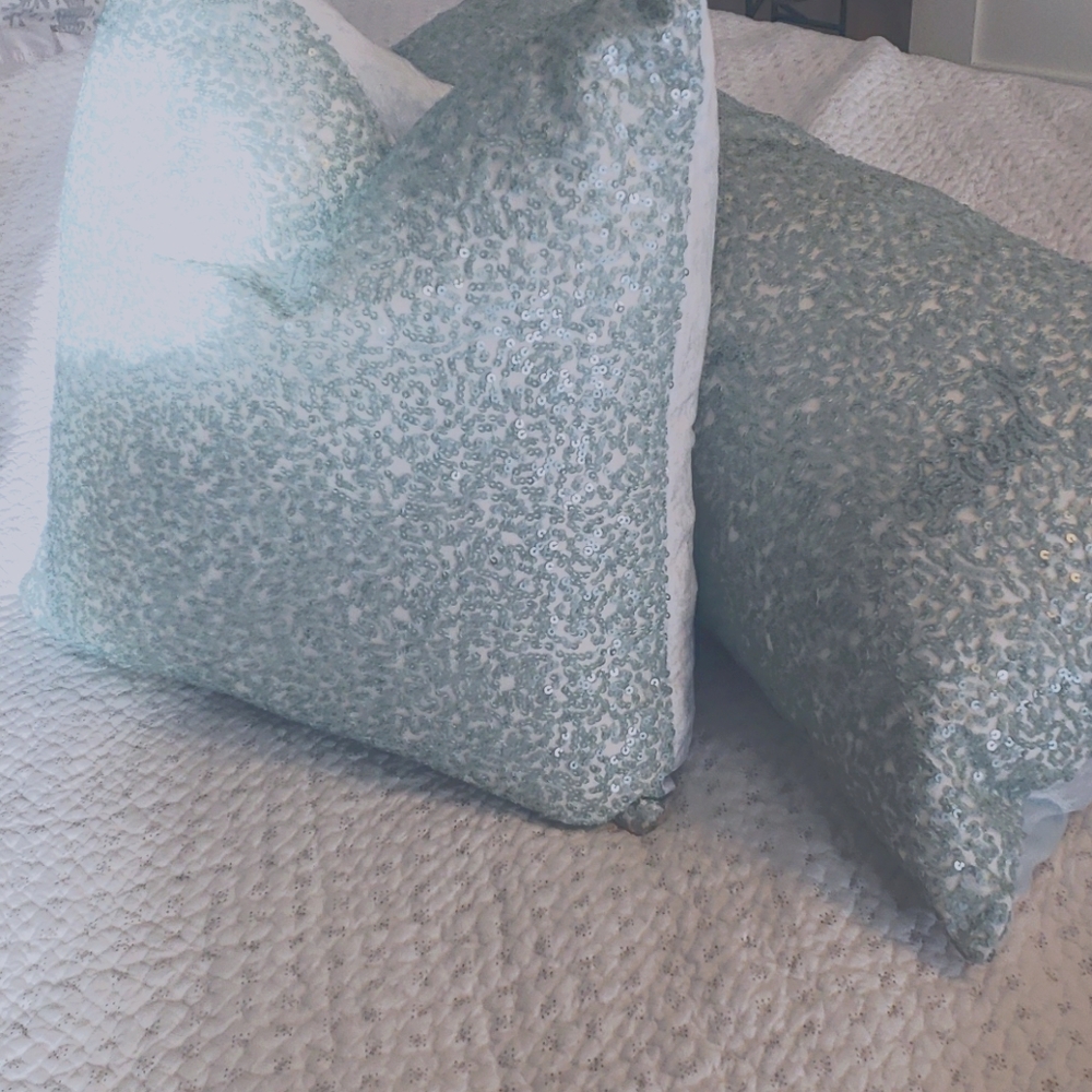 Brand-New Accent Pillows💗